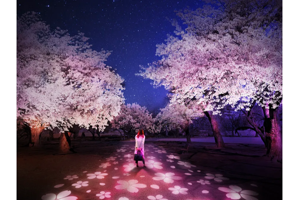 NAKED桜の新宿御苑2023