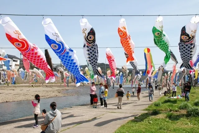 加茂川を泳ぐ鯉のぼり