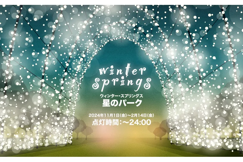 WINTER SPRINGS 星のパーク_2