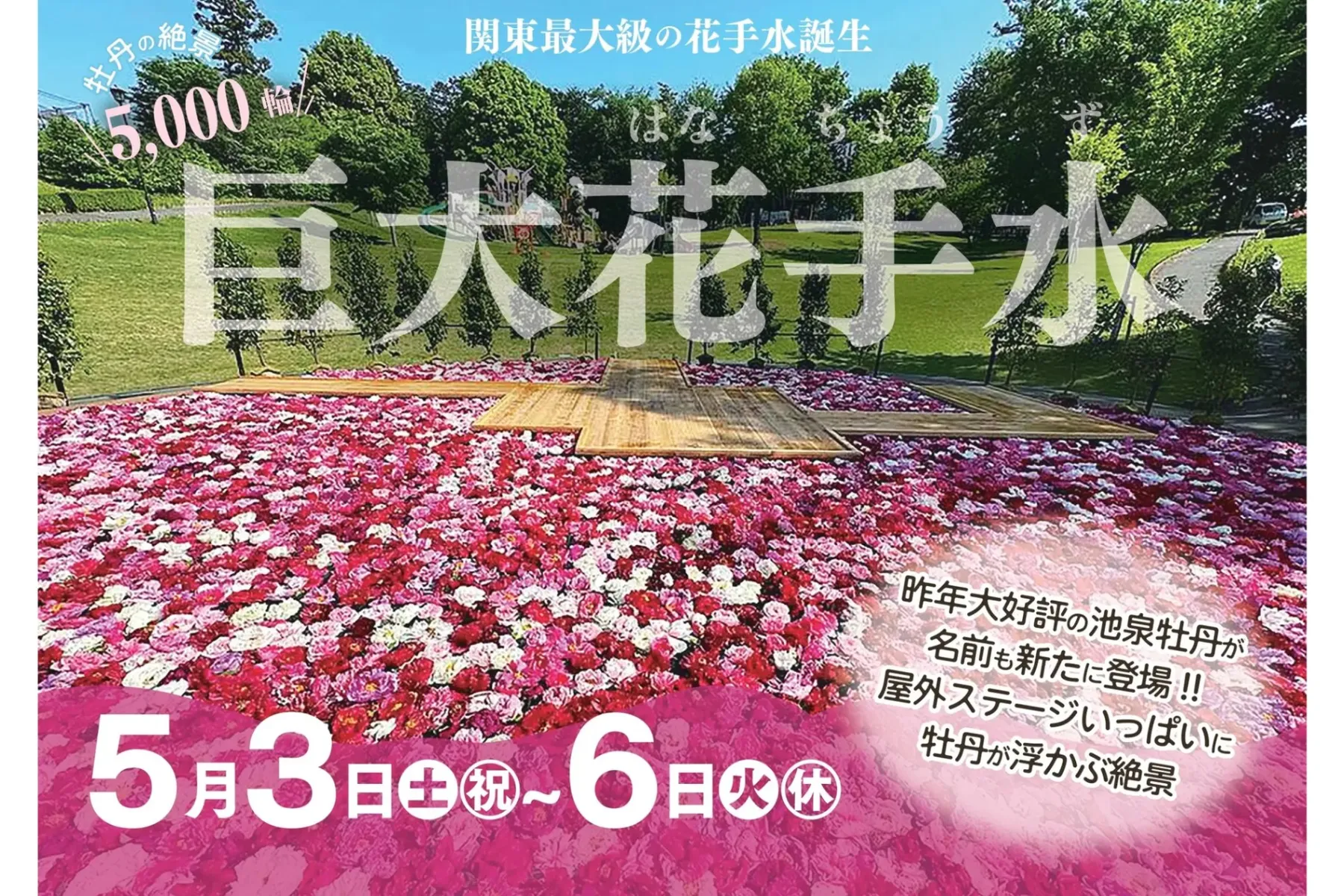 2025花絵巻_3