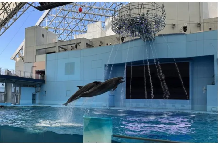 生きものたちの能力や躍動を間近で体感！ずぶ濡れ演出も登場！「Animal Life Live！」
