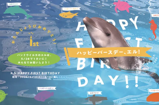 エル HAPPY FIRST BIRTHDAY