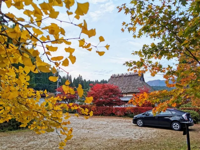越畑紅葉まつり