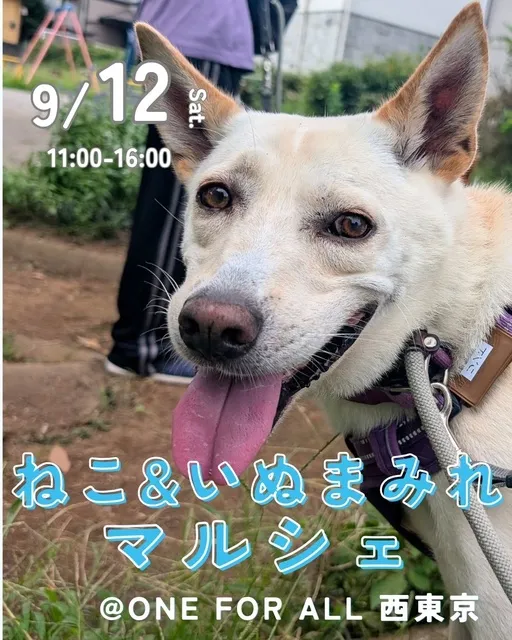 ねこ&いぬまみれマルシェ