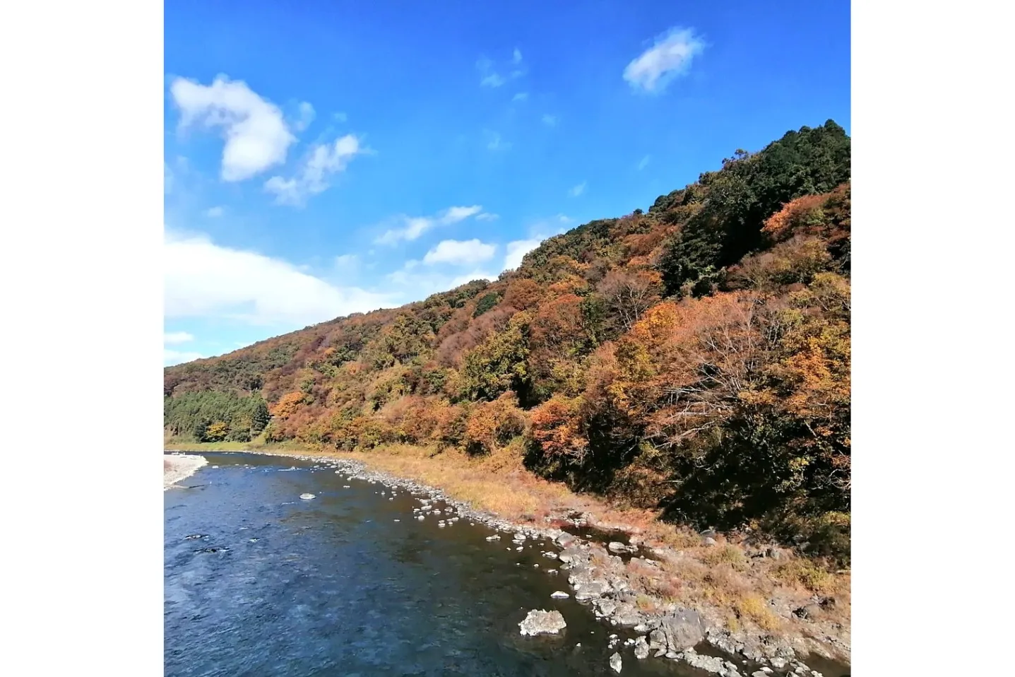 落石の紅葉情報_3