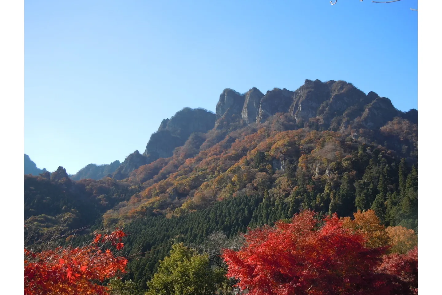 妙義山の紅葉情報_2
