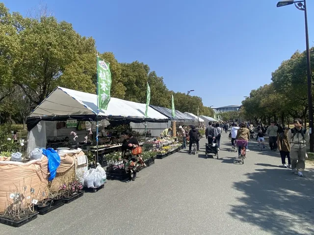 春の植木市（鶴見緑地）