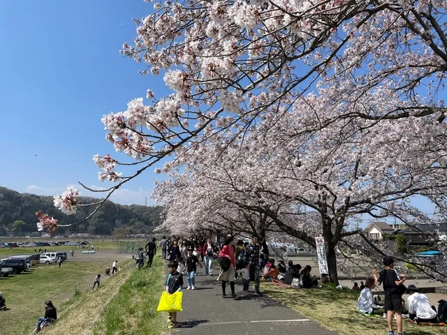 はむら花と水のまつり2026 前期さくらまつり