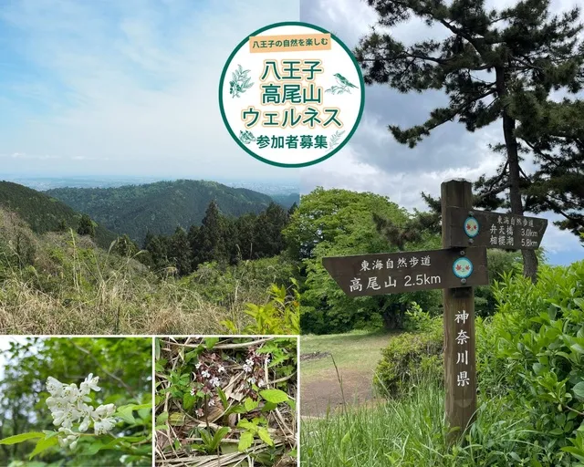 八王子ハイキングガイドツアー「小仏城山に登ろう」