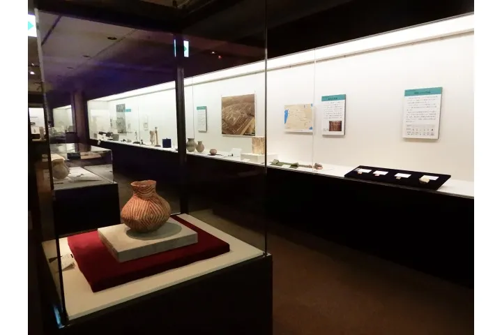 古代オリエント博物館 2026年度 年間展示_11