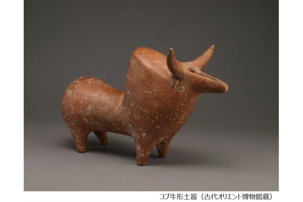 古代オリエント博物館 2026年度 年間展示_8