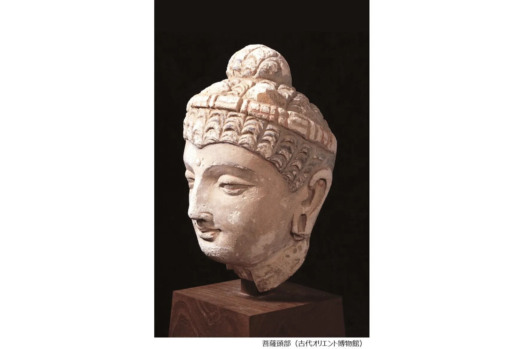 古代オリエント博物館 2026年度 年間展示_9