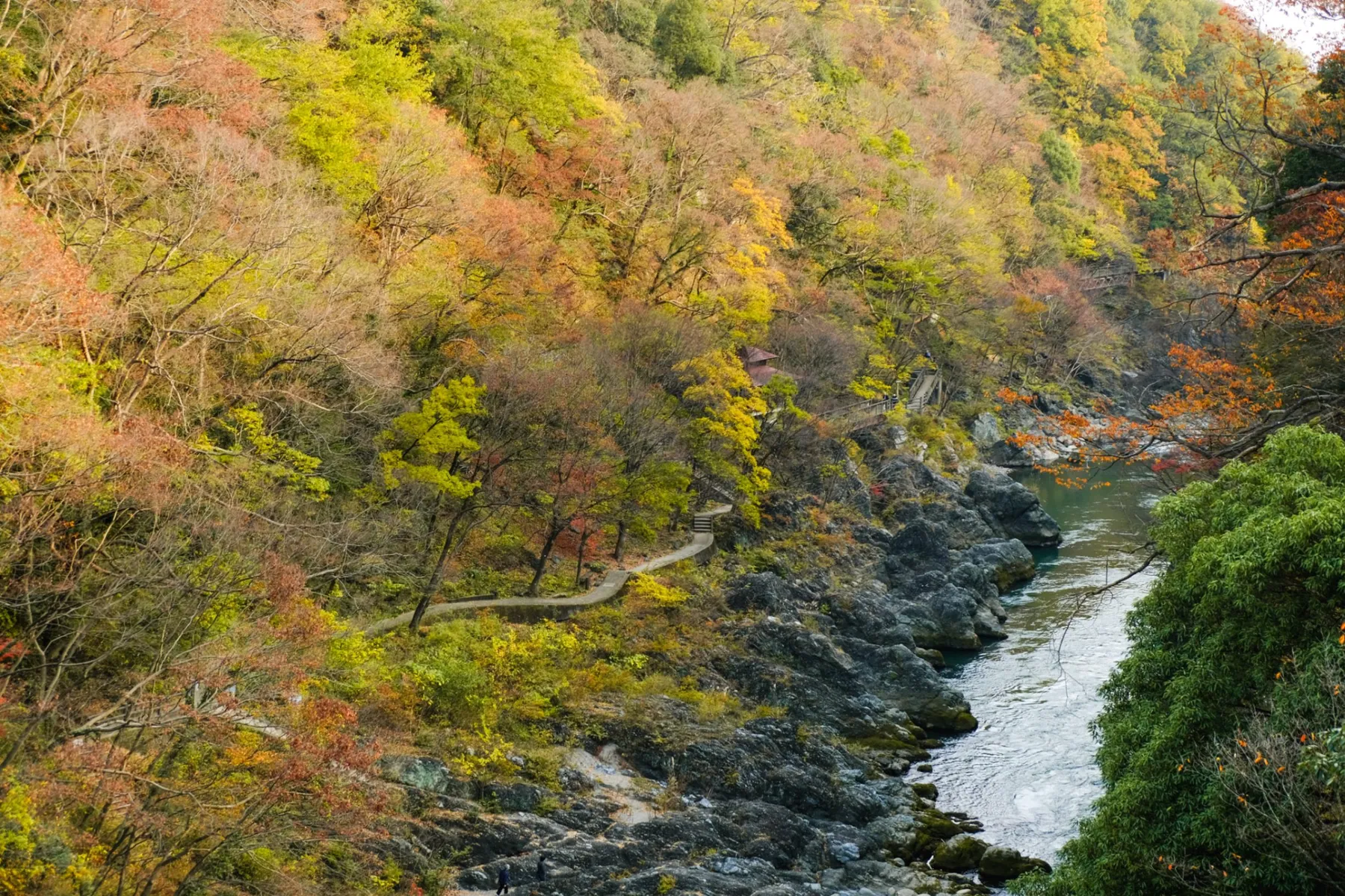 高津戸峡の紅葉情報_1