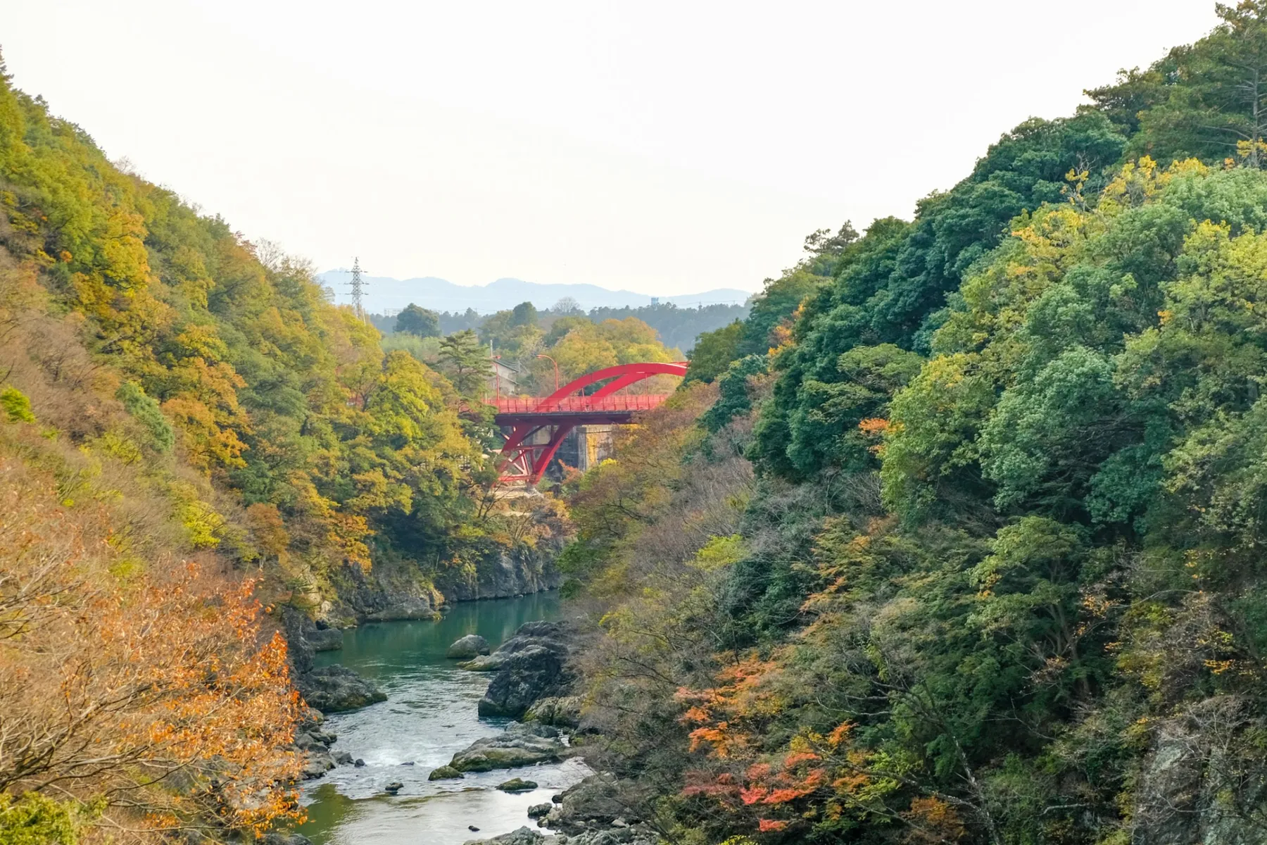 高津戸峡の紅葉情報_2