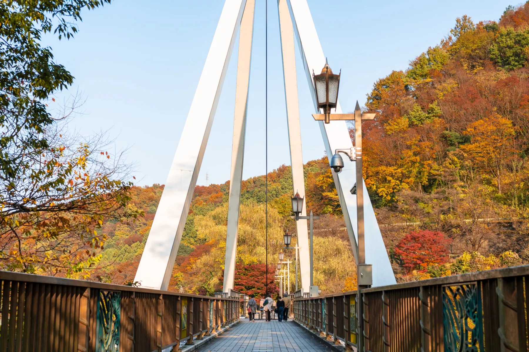 高津戸峡の紅葉情報_3