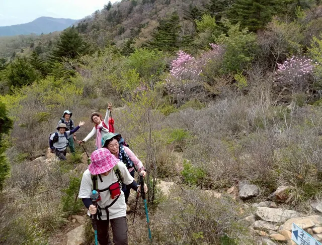 地元愛媛県の人気登山ガイド智さんと行く春のチャレンジ登山 西赤石山 東平より周回