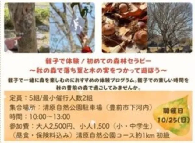 2026秋森林セラピー体験　親子で体験！初めての森林セラピー～秋の森で落ち葉と木の実を使って遊ぼう～