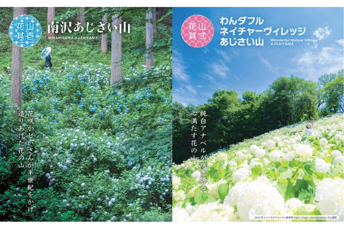 秋川渓谷あじさいまつり2026_1