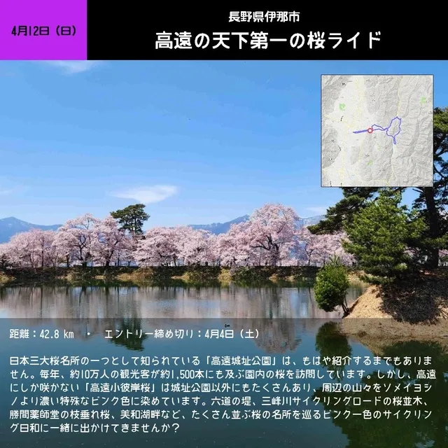 高遠の天下第一の桜ライド