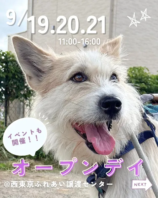 オープンデイ