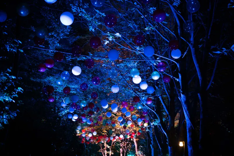 パーク全体が幻想的なライトアップに包まれる ©Moomin Characters™