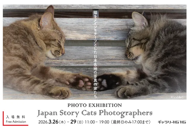 Japan Story Cats Photographers 展