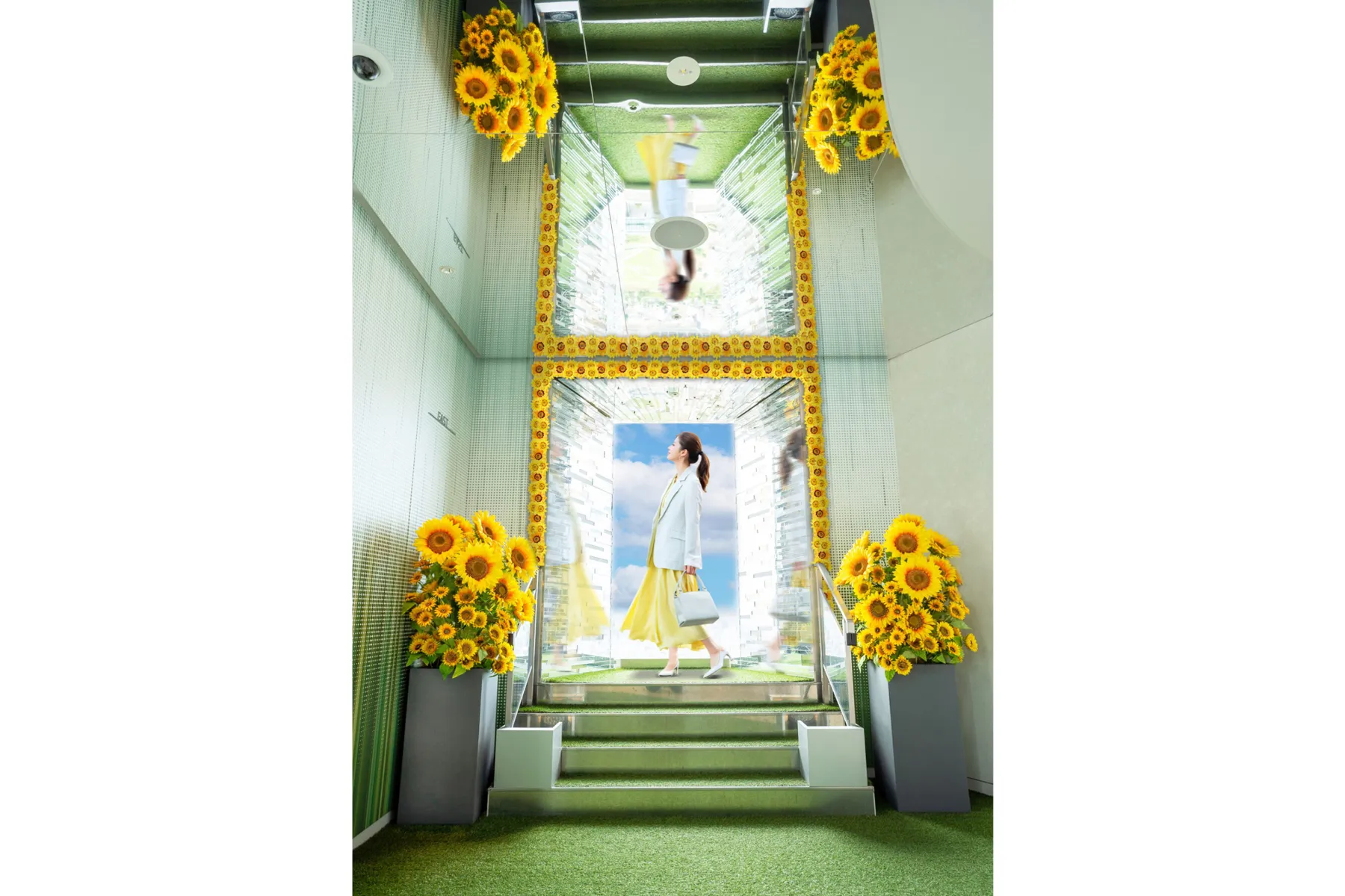 てんぼうパークの夏景色_7