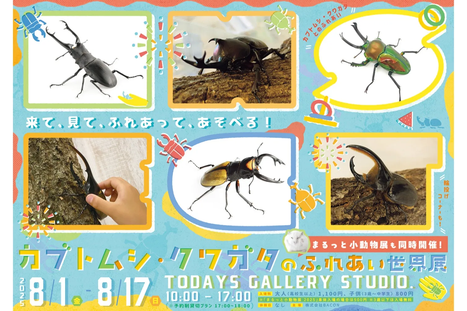 カブトムシ・クワガタのふれあい世界展 2025_16