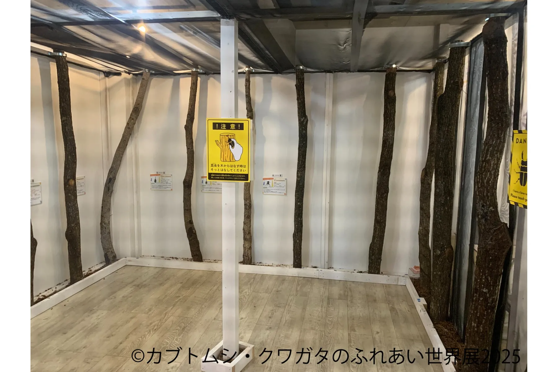 カブトムシ・クワガタのふれあい世界展 2025_5