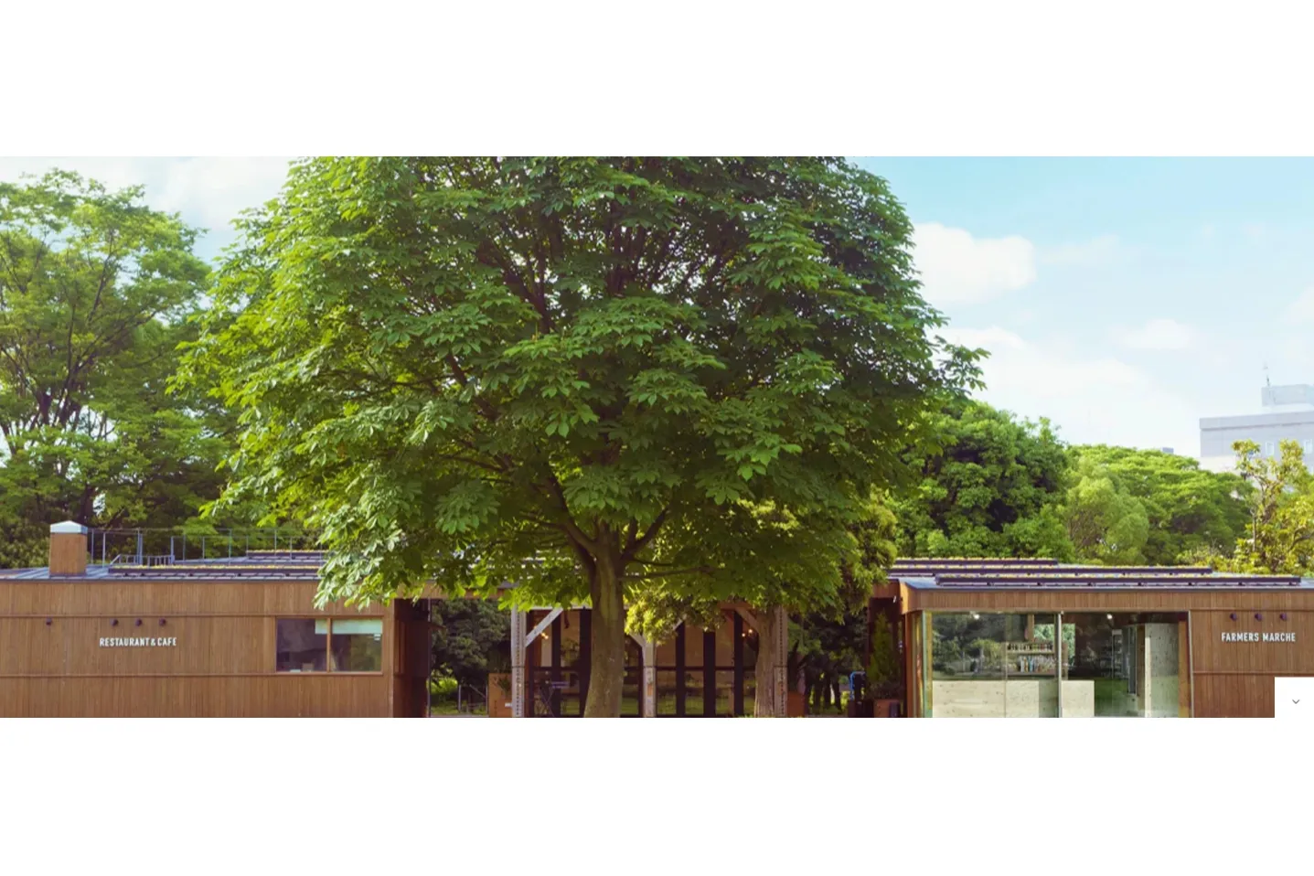 KOTO COFFEE & CRAFT MARKET_10
