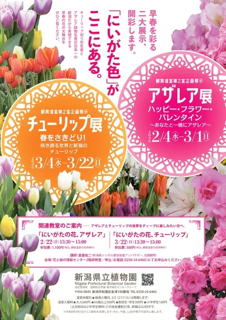企画展示「チューリップ展～春をさきどり！咲き誇る世界と新潟のチューリップ～」