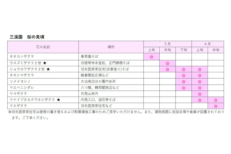 桜ライトアップ【三溪園】_4