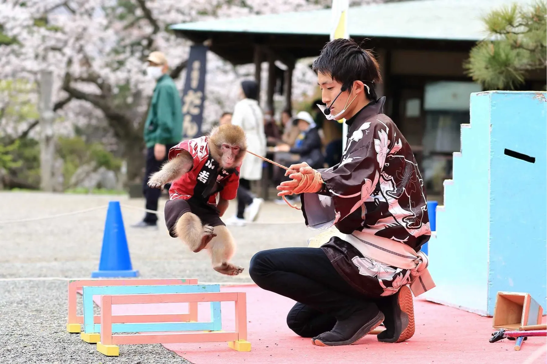 桜ライトアップ【三溪園】_6
