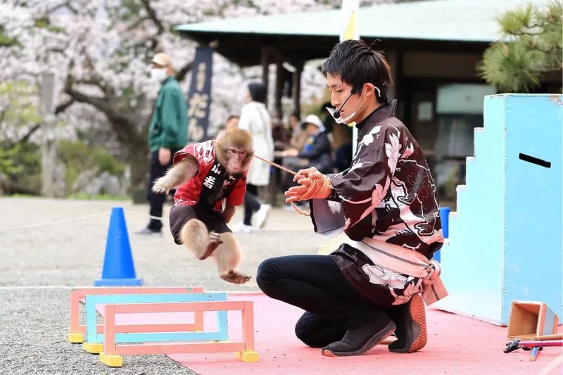 桜ライトアップ【三溪園】_6