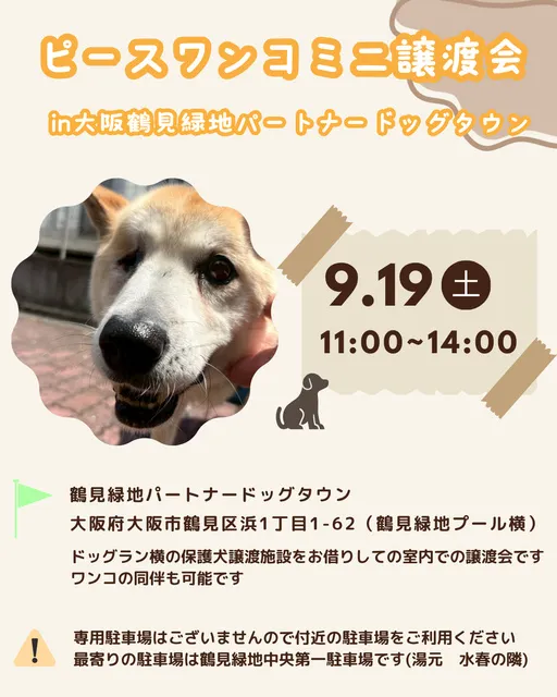 ミニ譲渡会in大阪鶴見緑地パートナードッグタウン