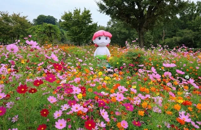 2026かざはやの里 花と祈りの秋桜まつり