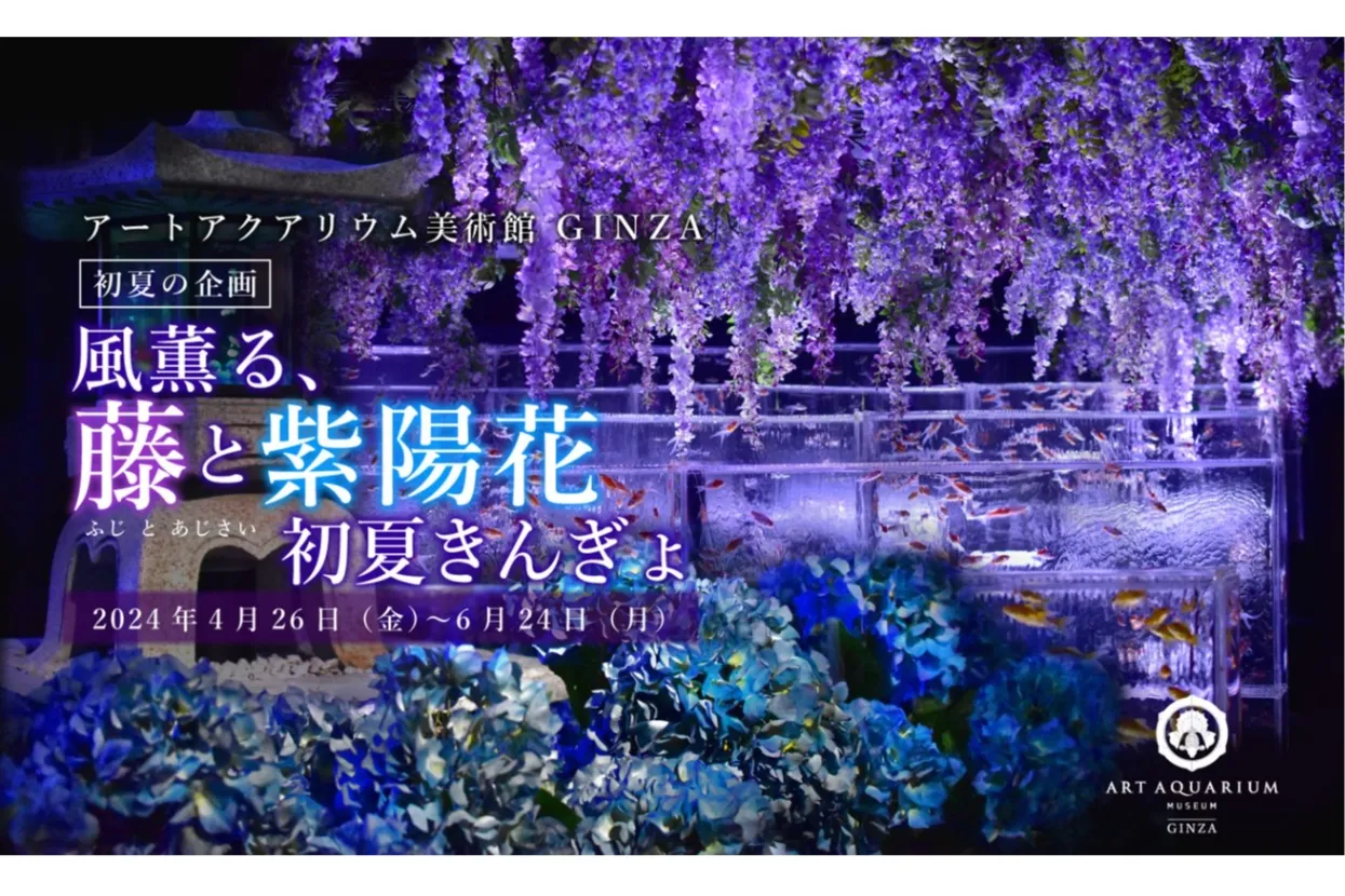 初夏企画「風薫る、藤と紫陽花 初夏きんぎょ」
