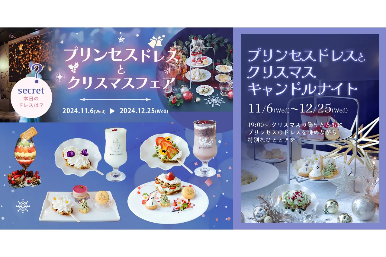 プリンセスドレスとクリスマスフェア_1