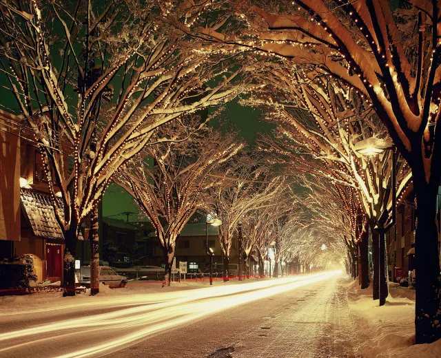 2025 NIIGATA光のページェント