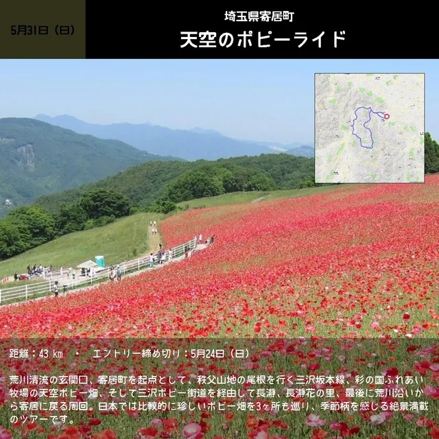 天空のポピーライド