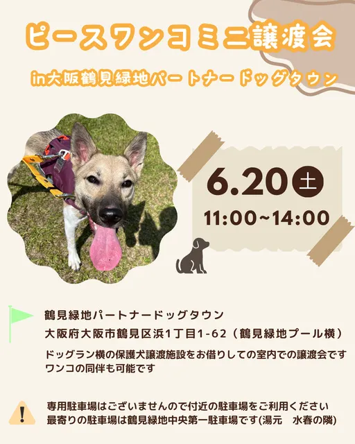 ミニ譲渡会in大阪鶴見緑地パートナードッグタウン