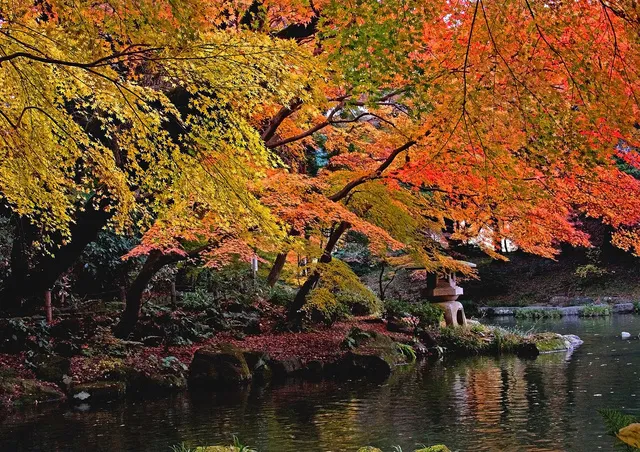 第27回　成田山公園紅葉まつり