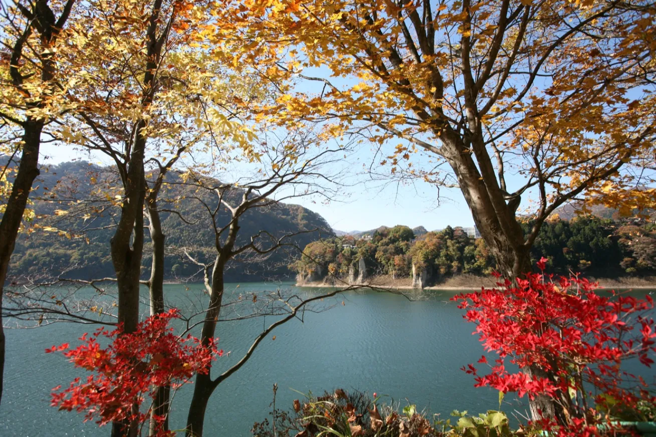 猿ヶ京の紅葉情報_1
