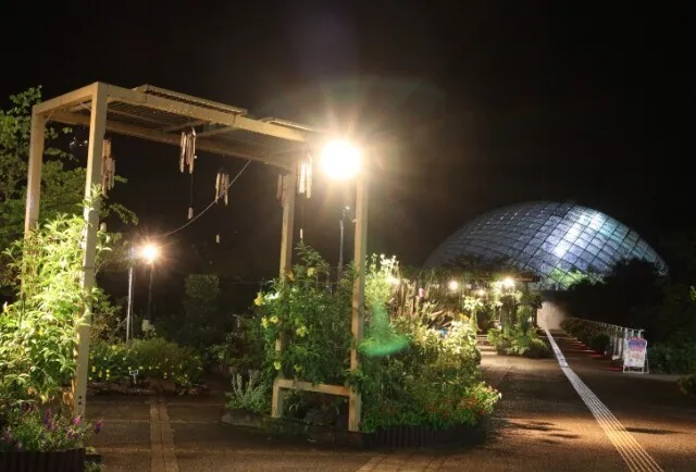 夜の生き物観察会