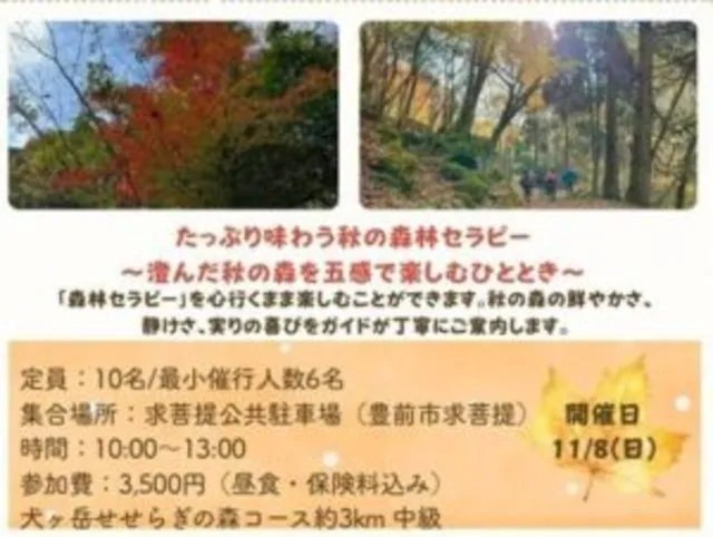 2026秋森林セラピー体験　たっぷり味わう秋の森林セラピー～澄んだ秋の森を五感で楽しむひととき～