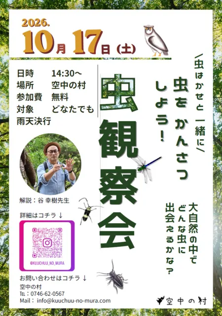 虫観察会