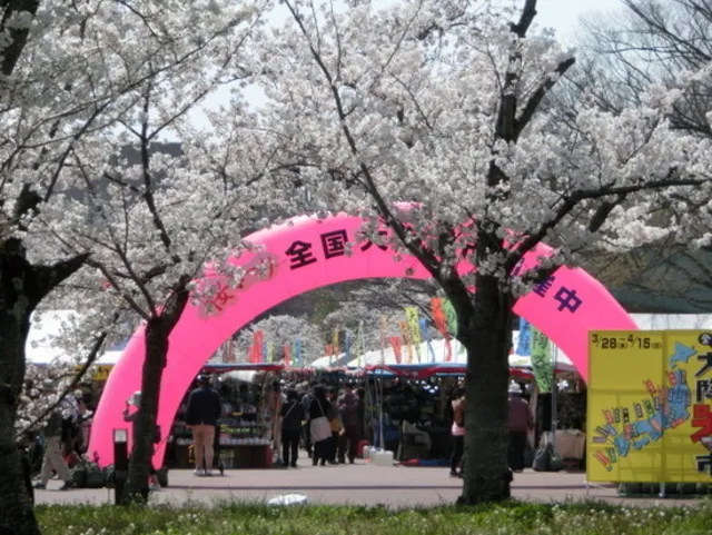 全国大陶器市 SAKURA EXPO 2026
