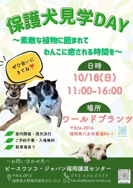保護犬見学DAY＠ワールドプランツ