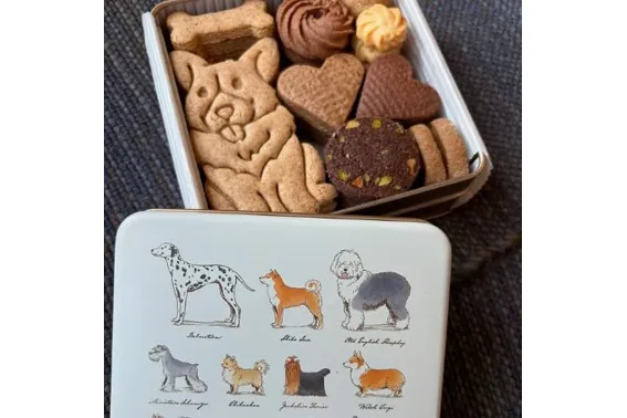 CHIBA COOKIE CANVAS_6