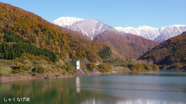 【紅葉・見ごろ】しゃくなげ湖（三国川ダム）